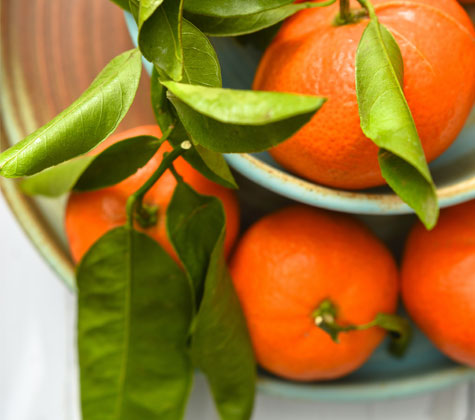 Clave-para-vida-saludable-ALIMENTACION 4 claves para mantener una vida saludable a partir de los 50: Alimentación