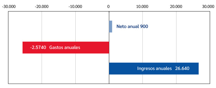 Ingresos y Gastos Anuales 3